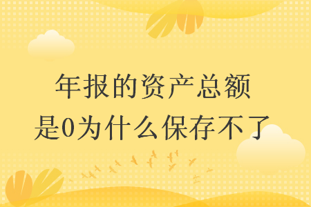 年报的资产总额是0为什么保存不了