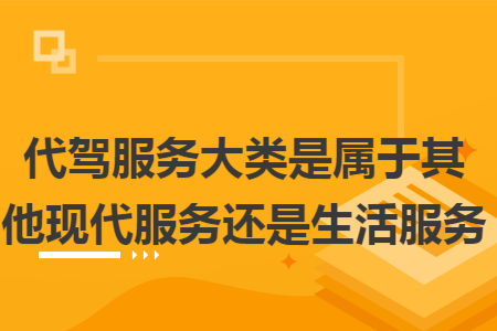代驾服务大类是属于其他现代服务还是生活服务