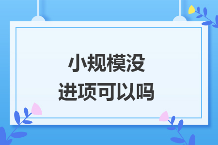 小规模没进项可以吗