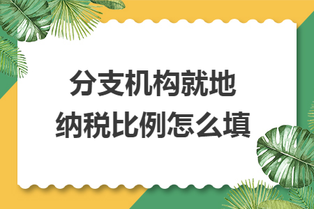 分支机构就地纳税比例怎么填