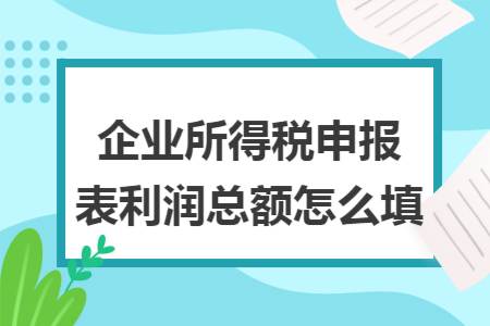 企业所得税申报表利润总额怎么填