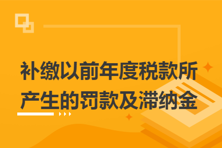 补缴以前年度税款所产生的罚款及滞纳金