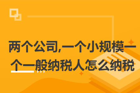 两个公司,一个小规模一个一般纳税人怎么纳税