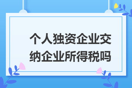 个人独资企业交纳企业所得税吗