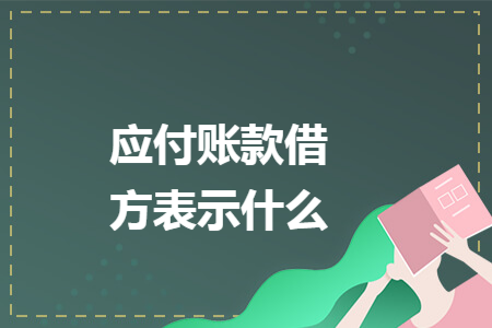 应付账款借方表示什么