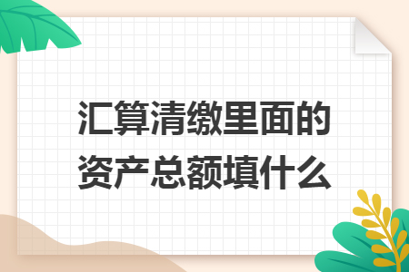 汇算清缴里面的资产总额填什么