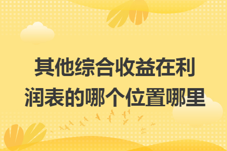 其他综合收益在利润表的哪个位置哪里