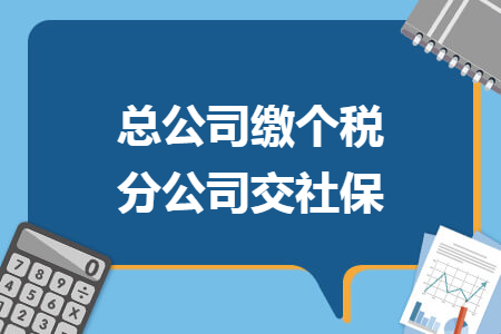 总公司缴个税 分公司交社保