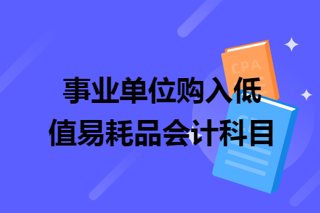 事业单位购入低值易耗品会计科目