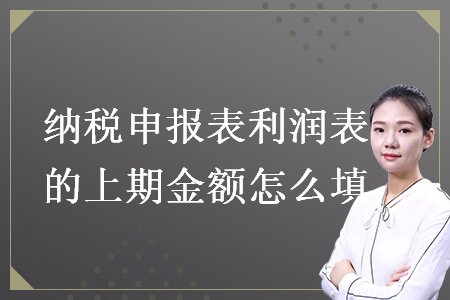 纳税申报表利润表的上期金额怎么填