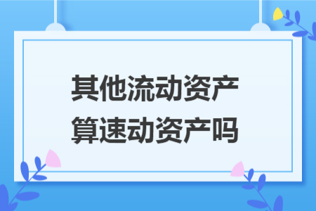 其他流动资产算速动资产吗