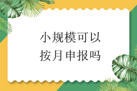 小规模可以按月申报吗