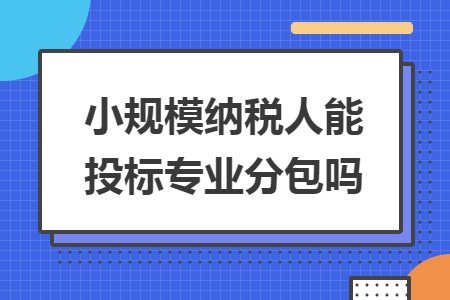 小规模纳税人能投标专业分包吗