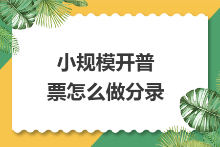 小规模开普票怎么做分录