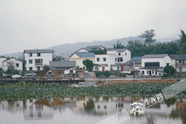 荣昌与隆昌携手共建的成渝现代高效特色农业带“双昌”合作示范园区。华龙网 辛飞 摄
