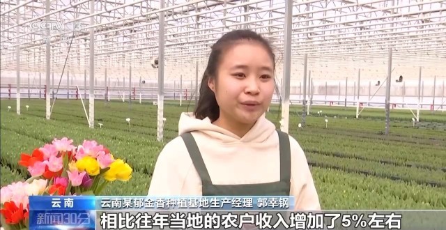 赶大集、岁末添金、买年宵花……你的年货置办好了吗？