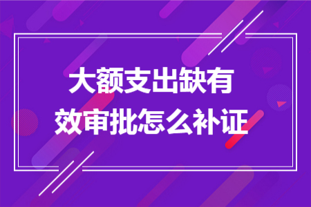 大额支出缺有效审批怎么补证