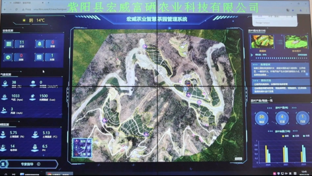 智慧茶园管理系统。紫阳县融媒体中心供图