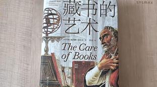 巴黎圣母院读后感700字