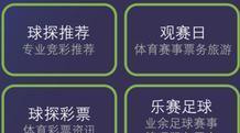 飞鲸体育