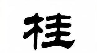 梅西人物传记500字内容
