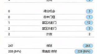 拜仁对勒沃库森比分