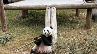 拜仁官网注册