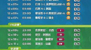卡塔尔世界杯排名8强