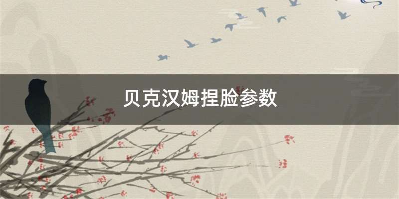 贝克汉姆捏脸参数
