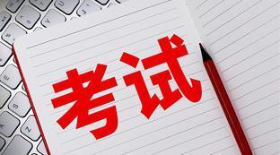 《巴黎圣母院》主要内容100字