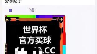 世界杯线上平台官网