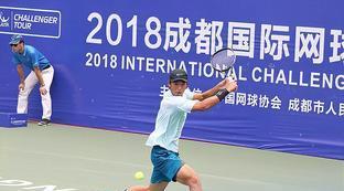 国际赛是什么级别