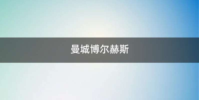 曼城博尔赫斯