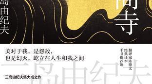巴黎圣母院小说读后感简介