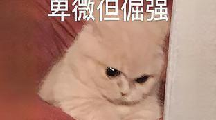 曼联超话