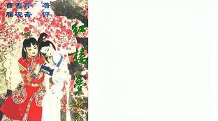 巴黎圣母院每章读书笔记