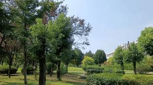 西交利物浦大学本科申请条件
