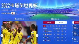 世界杯怎么看回放
