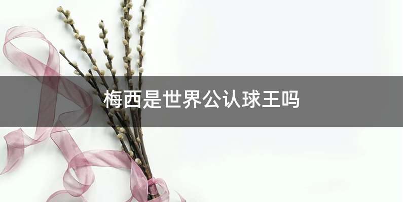 梅西是世界公认球王吗