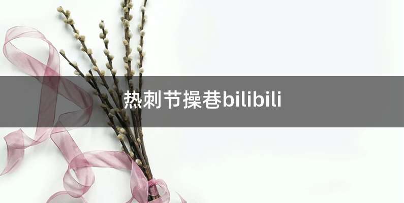 热刺节操巷bilibili