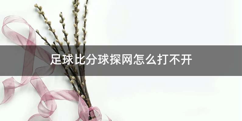 足球比分球探网怎么打不开