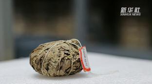 古代足球长什么样子