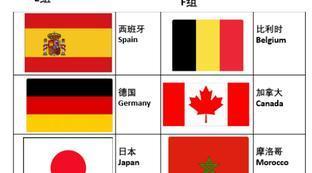 足球世界杯胸前双方国旗