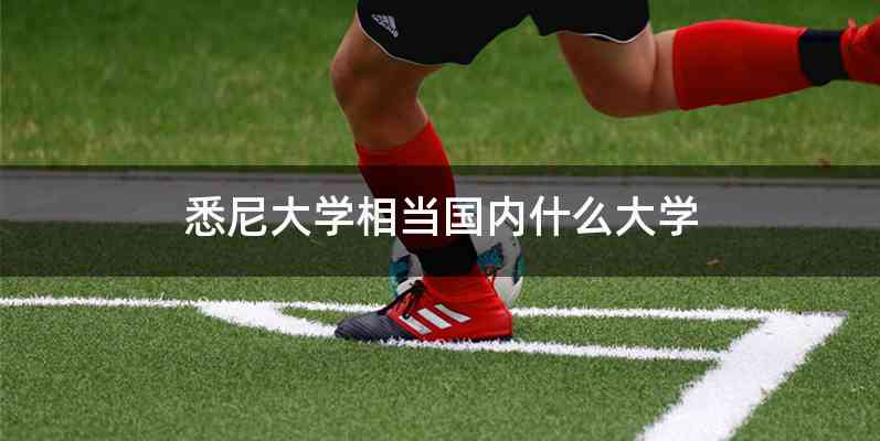 悉尼大学相当国内什么大学