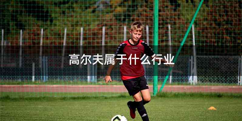 高尔夫属于什么行业