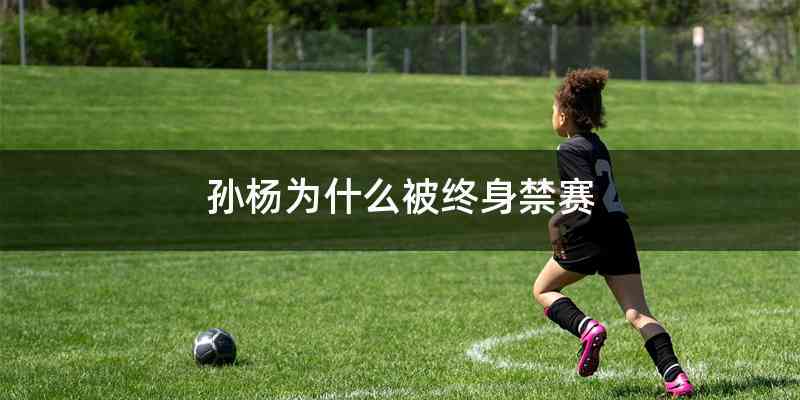 孙杨为什么被终身禁赛