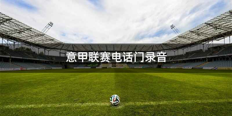 意甲联赛电话门录音