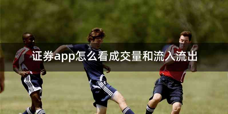 证券app怎么看成交量和流入流出
