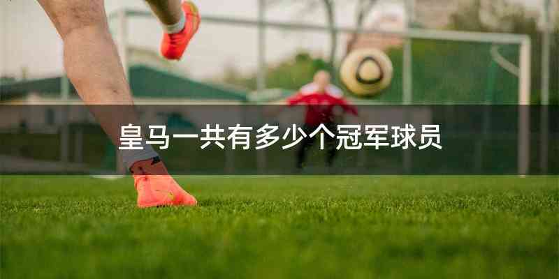 皇马一共有多少个冠军球员