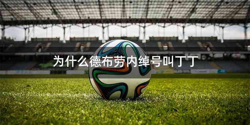 为什么德布劳内绰号叫丁丁